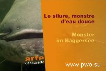 Монстр в карьерном озере | Monster im Baggersee