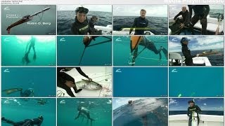 Подводная охота на тунца #2