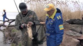 Рыбалка на сома на базе Кигач, Казахстан