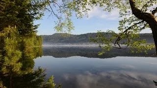 Телецкое озеро - день очистки водоемов