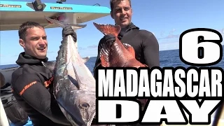 Мадагаскар день 6 / Madagascar Day 6