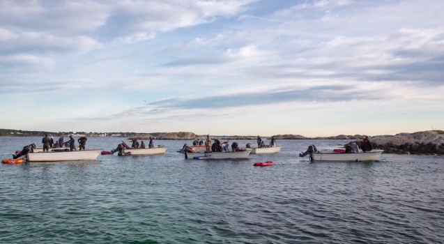 Соревнования по подводной охоте в Норвегии о.Хитра