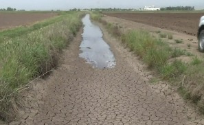 Nestle обвиняют в откачивании воды во время засухи