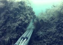Аkm S: Подводная охота Черное море 31.05.06