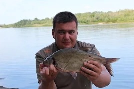 Дневник рыболова: Выходные с фидером на реке