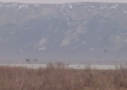 Охота на утку в Казахстане