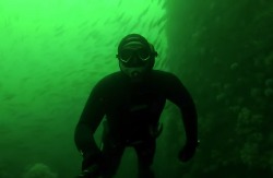 Fish dvoyka: Подводная охота в Норвегии собираем гребешка 2015