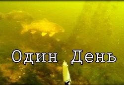 Александр Бухонин: Подводная охота на толстолобика, сазана и сома (один день)