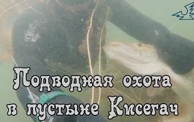 Алексей Крылов: Подводная охота в пустыне Кисегач