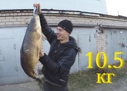 Василий Белоногов: Подводная охота осенью на сазана 10.5 кг