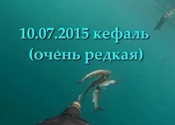 Denis Aleks: Подводная охота в Крыму, Ялта кефаль на 15м