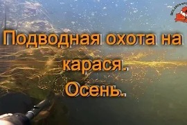 Казак Сергей: Подводная охота на карася. Осень.