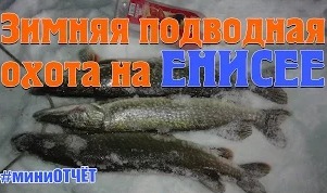 Владислав Владимирович: Зимняя подводная охота на Енисее