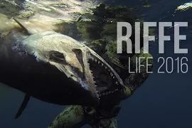 Подводная охота 2016 / Spearfishing - Riffe Life 2016