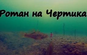 Сергей Сорокин: Ловля Ротана на Чертика (Подводное видео)