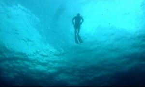 Freediving Spearfishing - 19lb Mutton, Amberjack, Cobia, King Mackerel