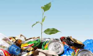 Пластмассовый мусор и как с ним бороться