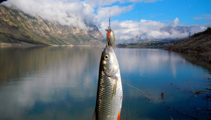 Рыбалка в Дагестане на Чиркейском водохранилище