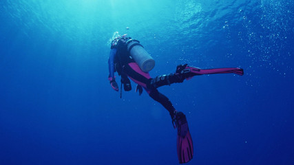 Дайвинг и подводная охота в Сочи