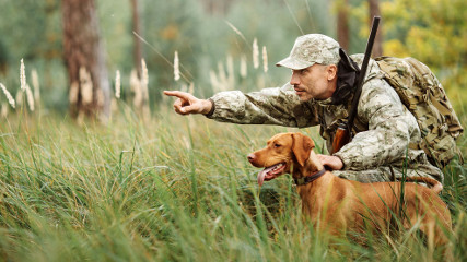 Охота с собаками: какие опасности могут подстерегать животное?