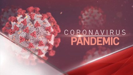 Пандемия Коронавируса: Счетчик в реальном времени