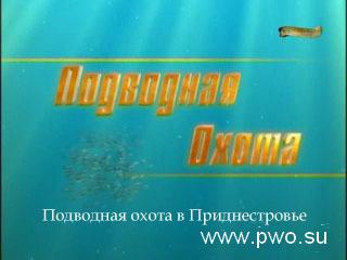 Подводная охота в Приднестровье