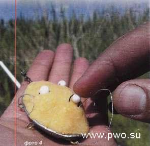 Ловля карася на самодельную соску