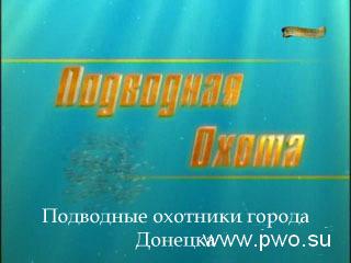 Подводные охотники города Донецка