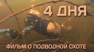 Фильм о подводной охоте в верховье кременчугского водохранилища на реке Днепр.