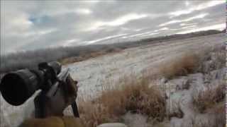 Охота на белохвостого оленя. Часть 4. Ноябрь 2013. Дядя Вова. Канада.