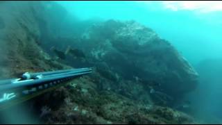 Подводная охота в Крыму