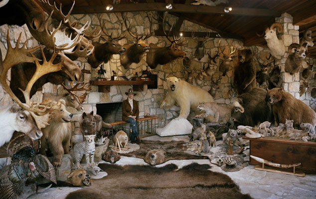 таксидермия - это мастерство граничащее с искусством.