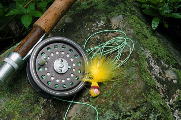 Нахлыст для начинающих