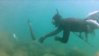 Подводная охота 2014 Черное море весна