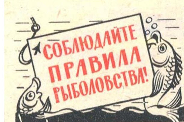 новые правила в России