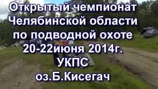 Чемпионат по подводной охоте в Челябинской обл