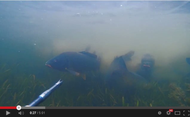 Подводная Охота Без Цензуры