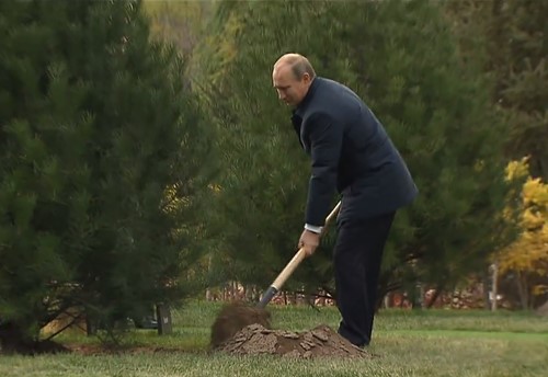 Владимир Путин посадил дерево в Китае