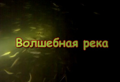 Подводная охота, волшебная река. Сергей Сорокин