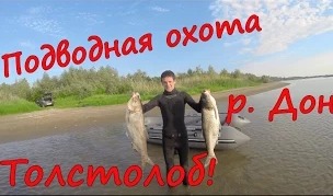 Станислав Снежко: Подводная охота на Толстолоба!!!