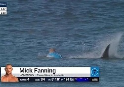 Нападение акулы на серфингиста Мика Фэннинга
