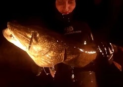 Илдар Сибгатуллин: Подводная охота на Волге 2015! Трофейная щука и судак.