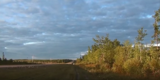 Гуляли по лесам, собирали грибы, поднимали рябчиков