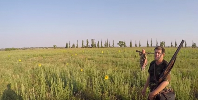 Охота на перепела в сентябре