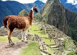 Мачу-Пикчу - Небесный город