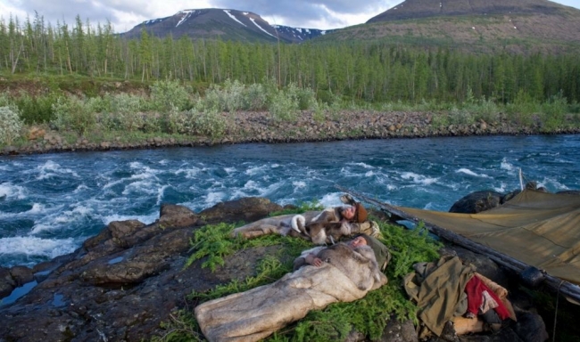 Фильм: Территория