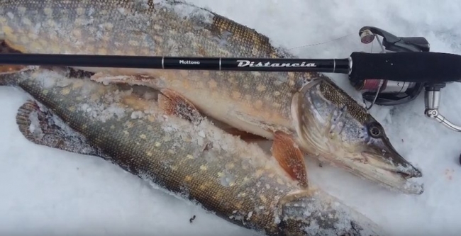 Зимний спиннинг - как уберечь леску от обмерзания