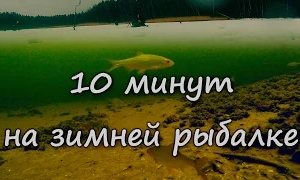 Сергей Сорокин: 10 минут на зимней рыбалке с подводной камерой