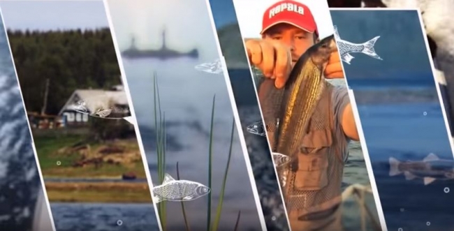 Секреты подледного лова