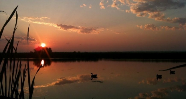 Сроки открытия весенней охоты 2016